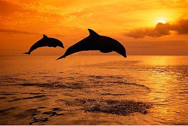 《蜡笔小新 我与博士的暑假》8月31日登陆Steam 支持中文