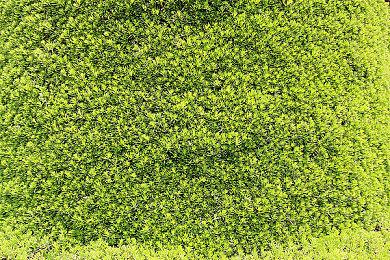 海洋生存游戏《木筏求生》确定即将登陆主机